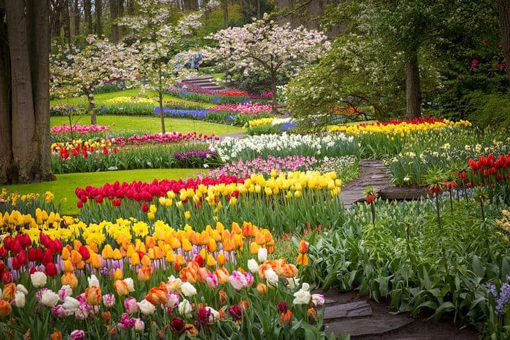 Netherlands